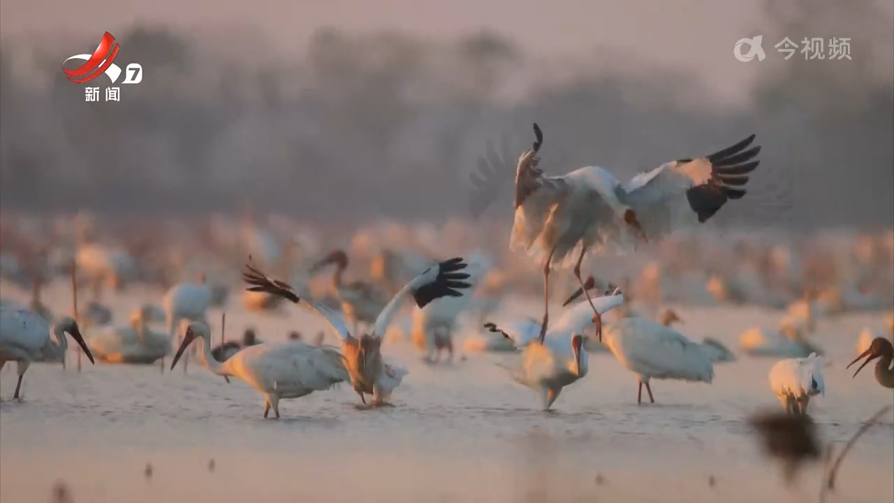 江西新闻联播20251111