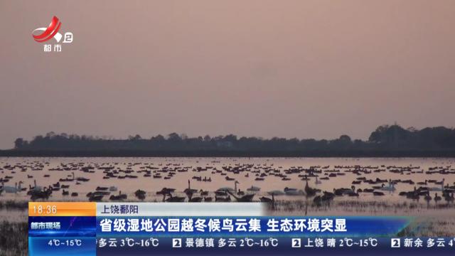 都市现场20251119