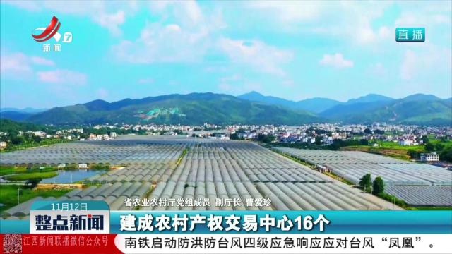 整点新闻20251112 16:00