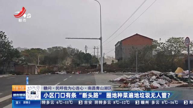 都市现场20251117