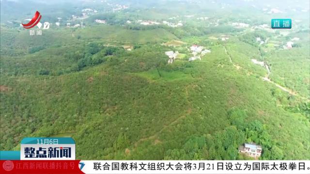 整点新闻20251106 10：00