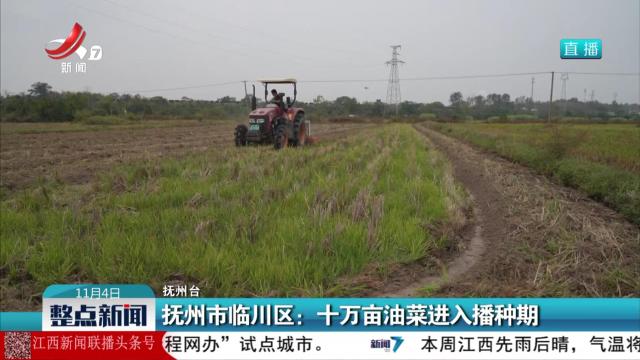 整点新闻20251104 16:00