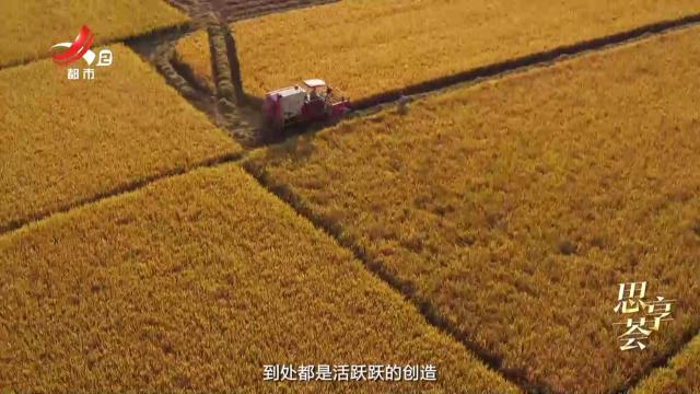 思享荟——绿色发展 绘就秀美乡村新画卷