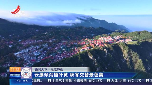 【赣闻天下】九江庐山：云瀑倾泻梧叶黄 秋冬交替景色美