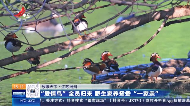 都市现场20251030