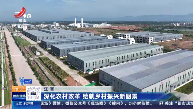 都市现场20251112