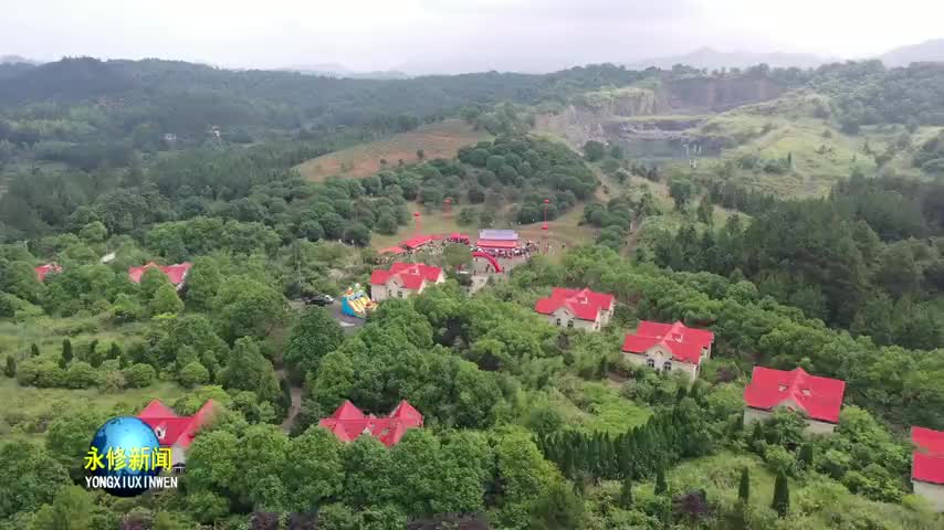 三溪桥镇：杨梅满山红 采摘正当时