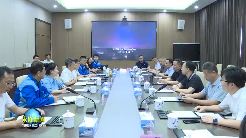 省商务厅党组书记、厅长犹 王莹带队在星火有机硅公司调研