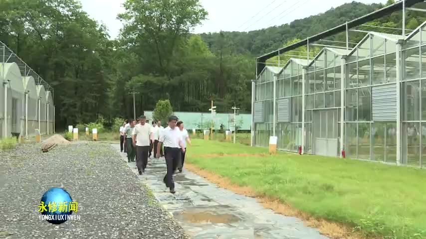 县委书记秦岭深入云山集团调研文旅项目建设