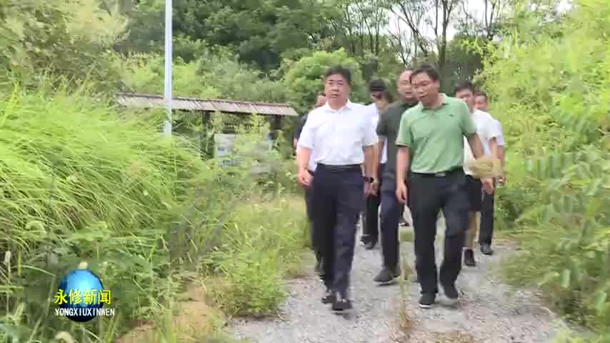 县委书记秦岭调度吴城文旅项目建设工作