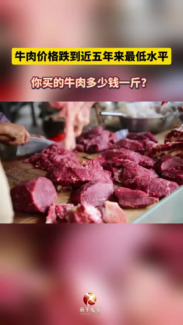 牛肉降价了你会买牛肉吗