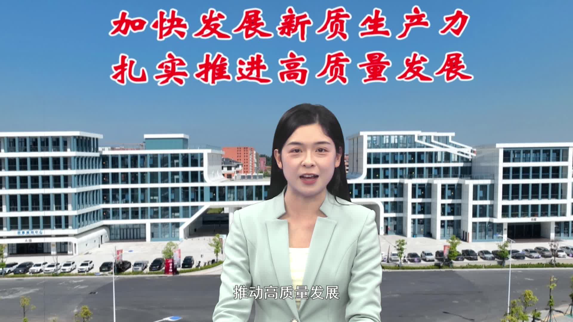 加快发展新质生产力  扎实推进高质量发展