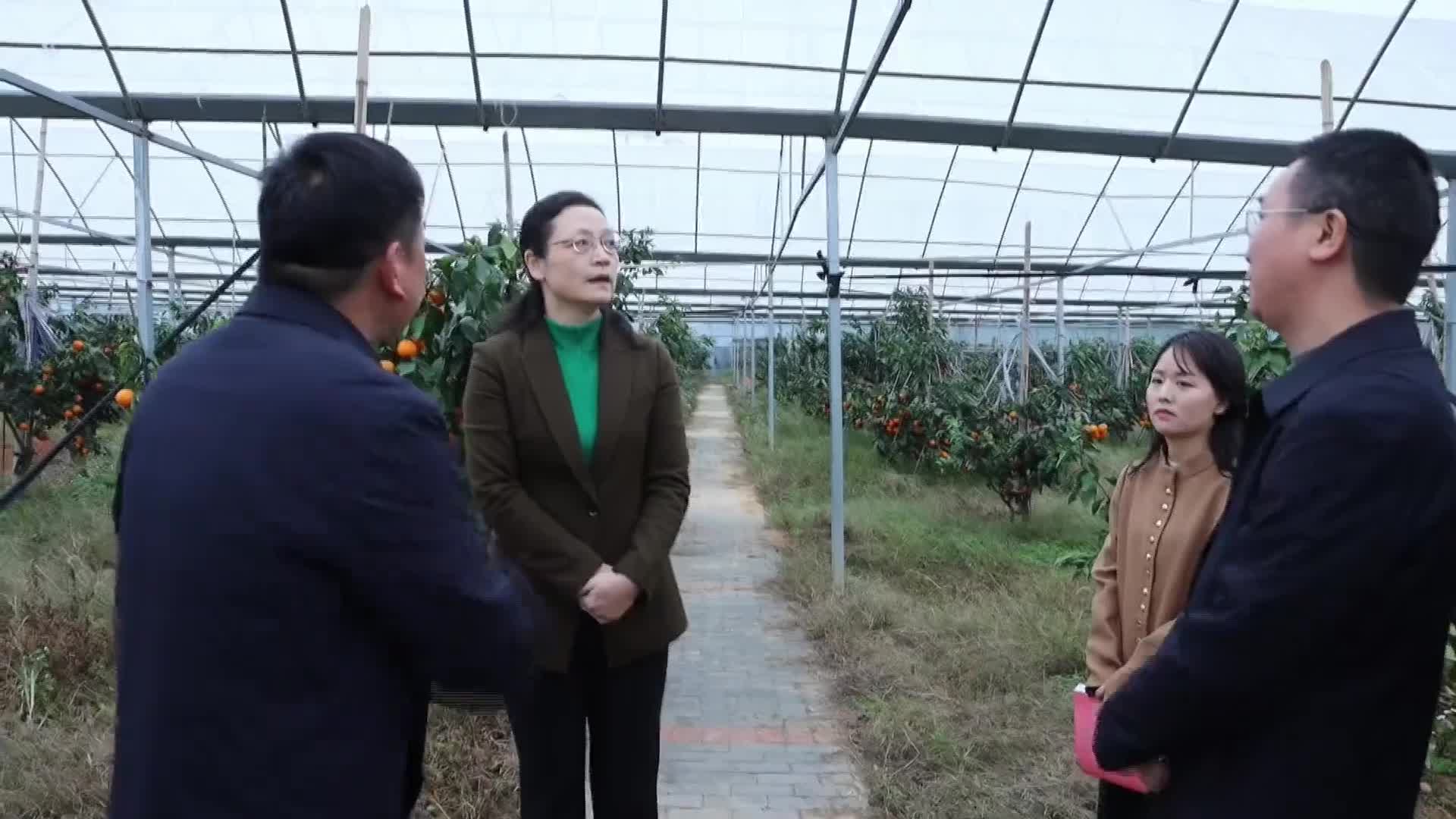 谭晓艳调研督导十五届县委第八轮巡察整改情况