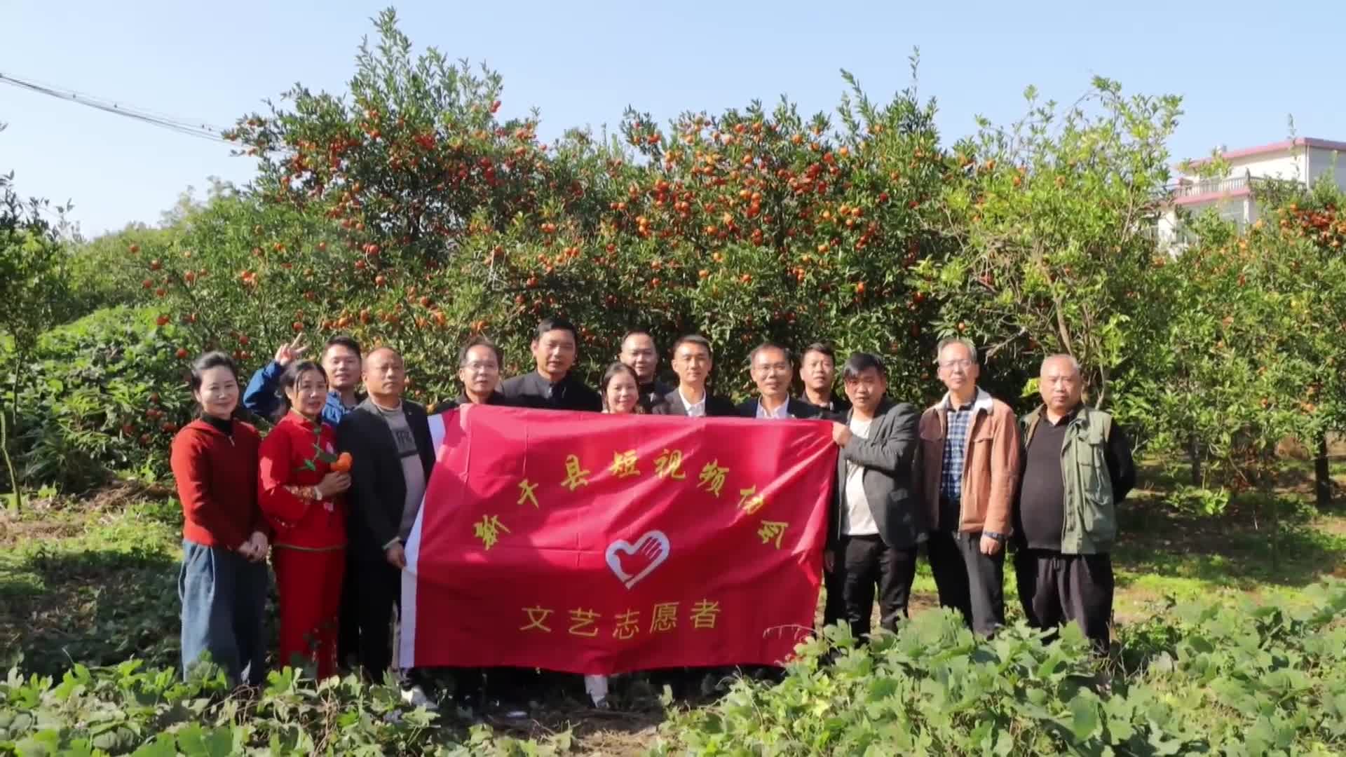 三湖廖坊：网络达人齐聚，视频助农红桔飘香