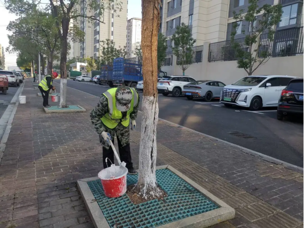 县城市事务中心:守护城市绿肺，筑就冬日美景