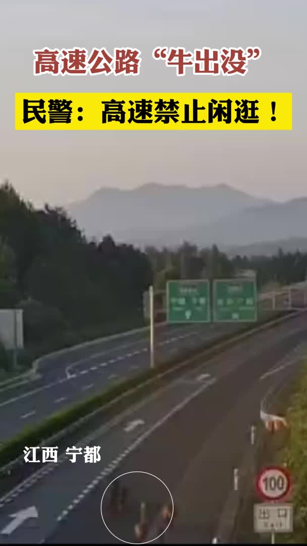 牛群高速“压马路” 交警及时消除隐患