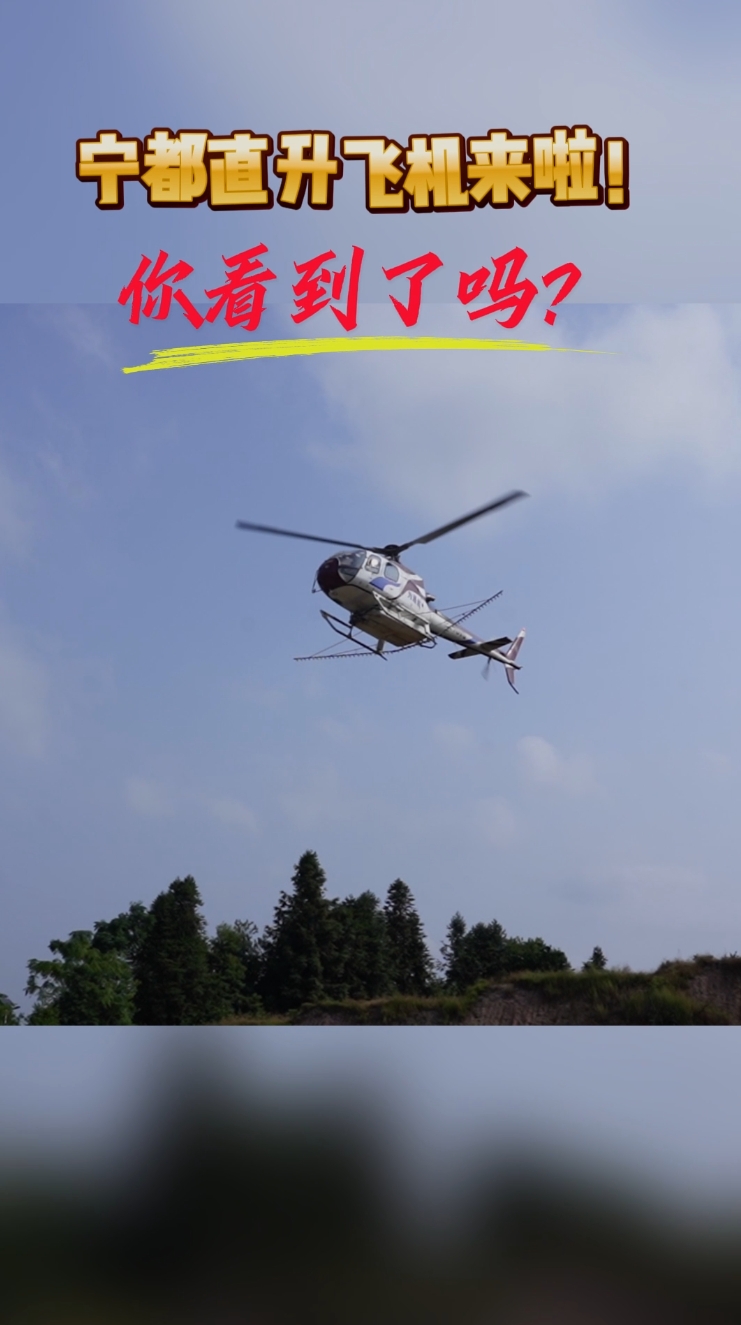 我县开展柑橘木虱防治飞防作业