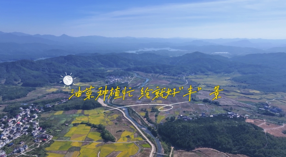 油菜种植忙 绘就好"丰”景