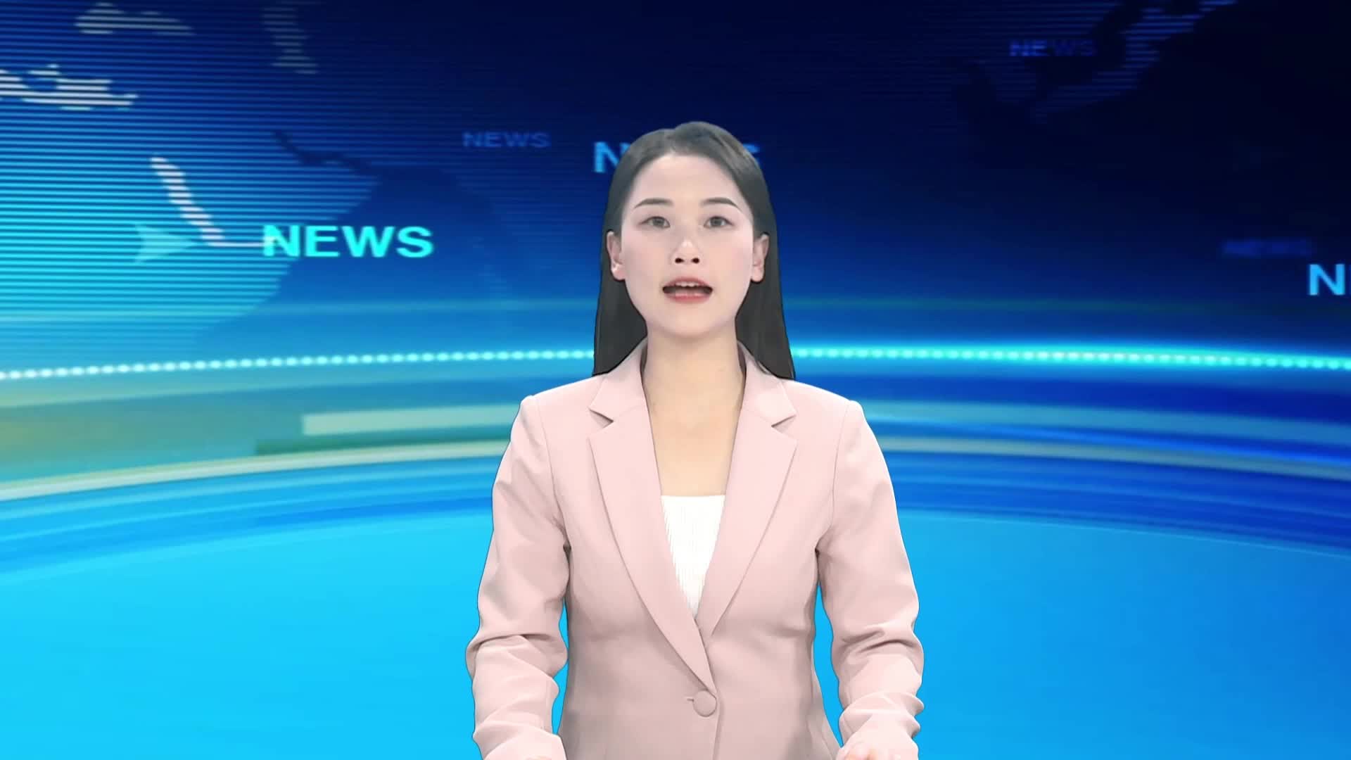 宁都新闻20241113
