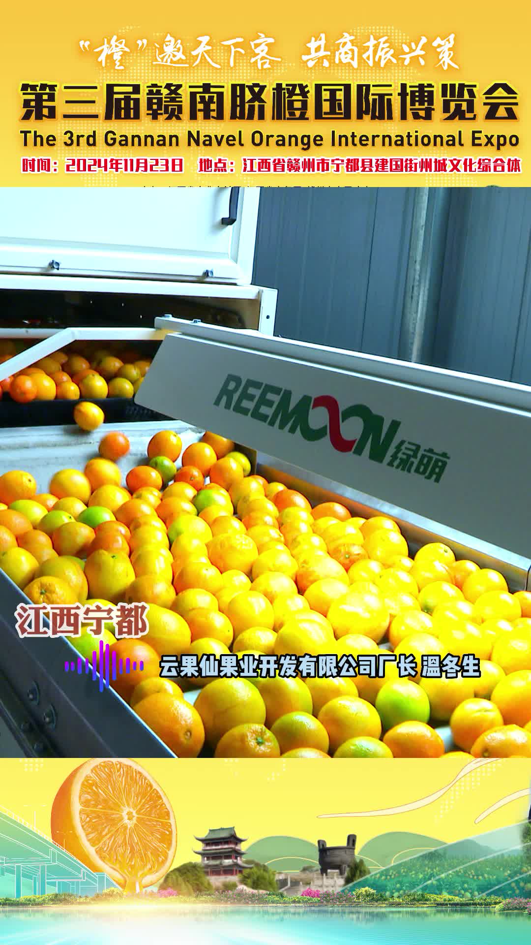 第三届赣南脐橙国际博览会即将召开，一起走进宁都脐橙分拣加工厂看看……