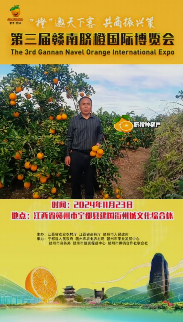 宁都赣南脐橙种植户邀您一起关注第三届赣南脐橙国际博览会