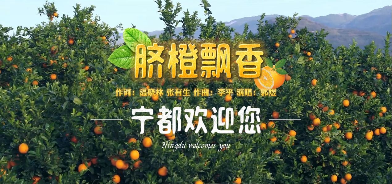 《脐橙飘香》宁都欢迎您