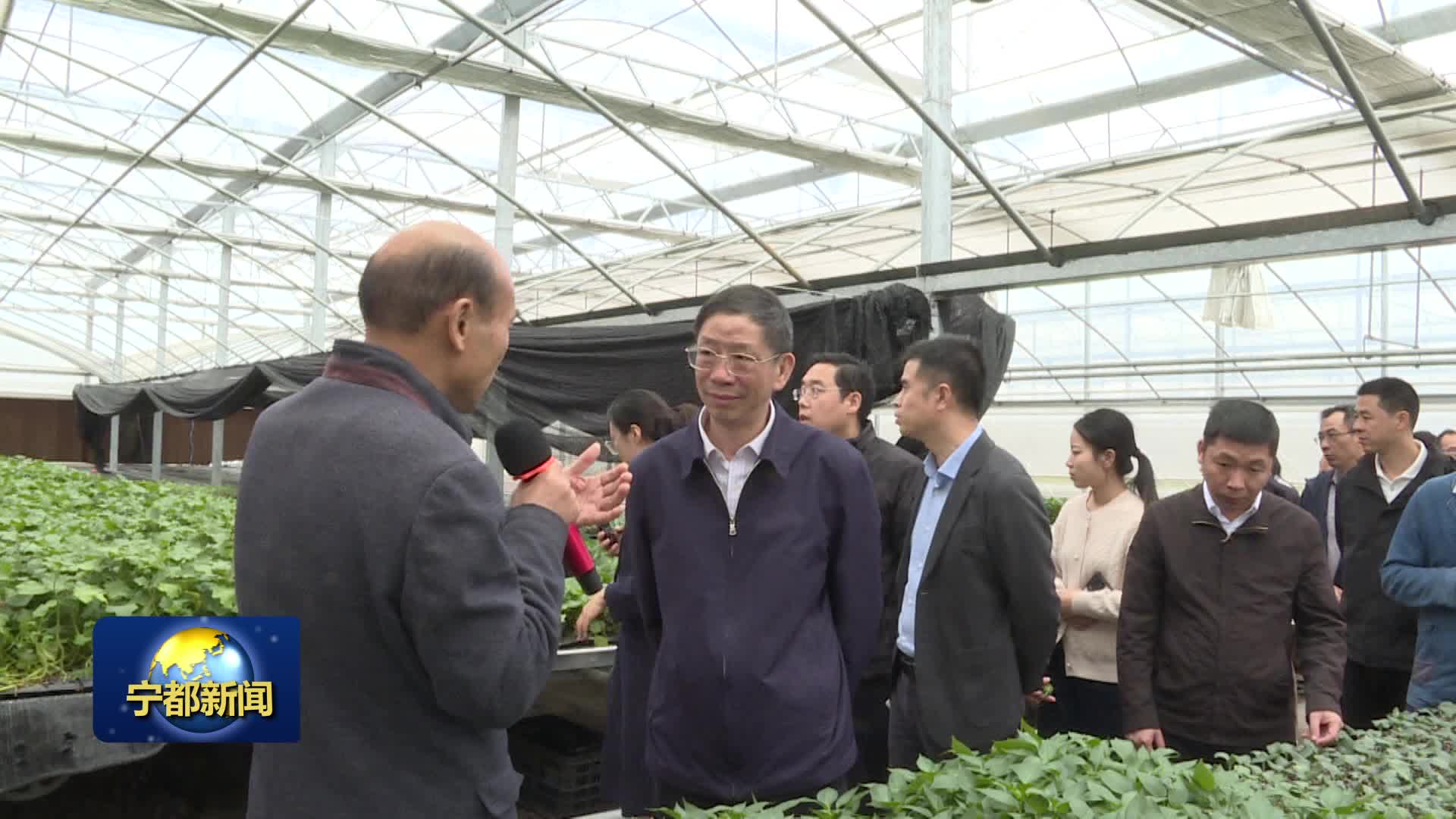 2024年江西省秋冬季设施蔬菜产业技术交流暨现场观摩会在我县召开