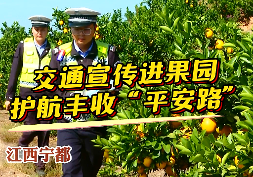 第三届赣南脐橙国际博览会即将召开，县交管大队走进果园向果农们宣传交通安全知识。