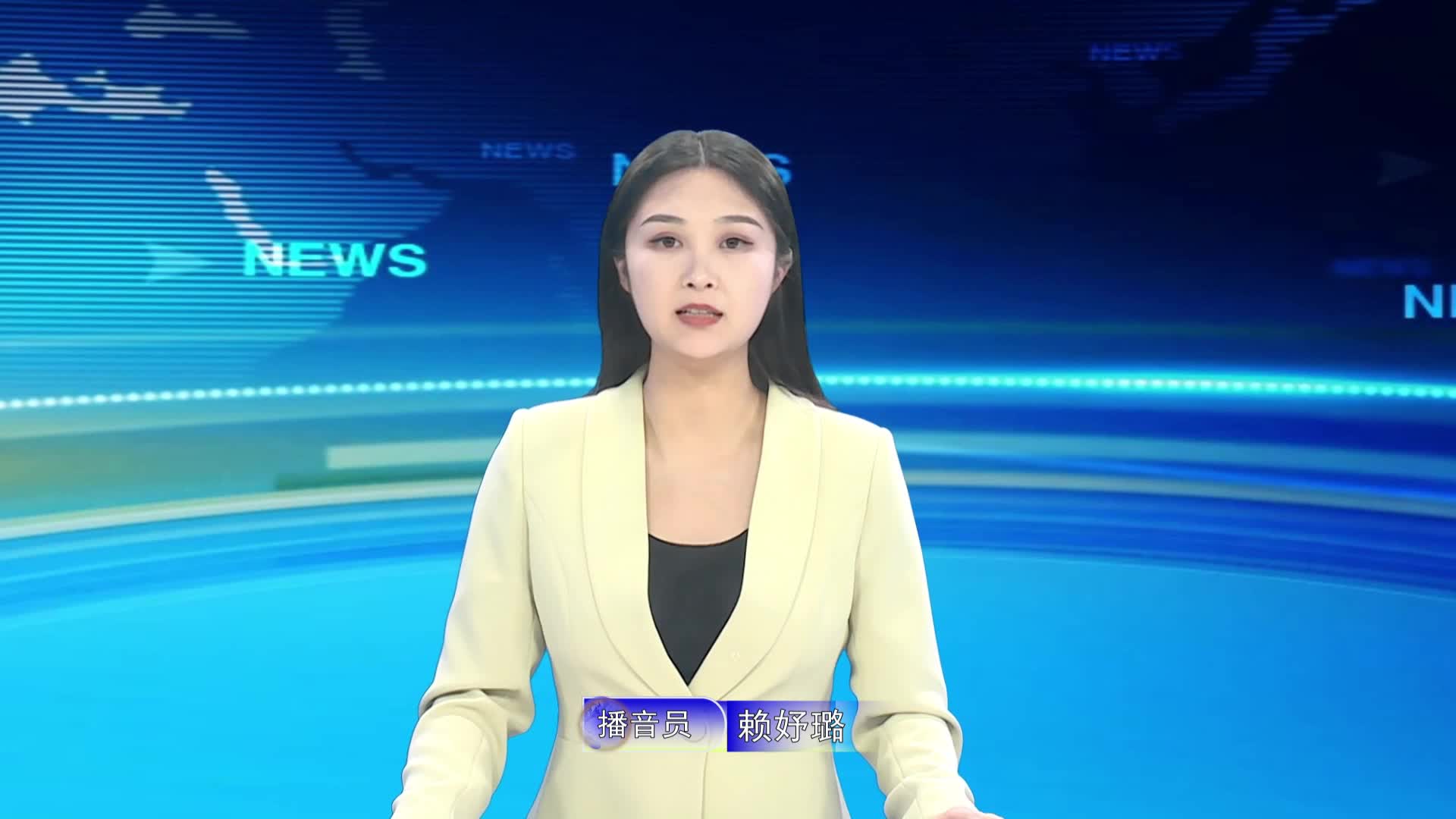 宁都新闻20241126