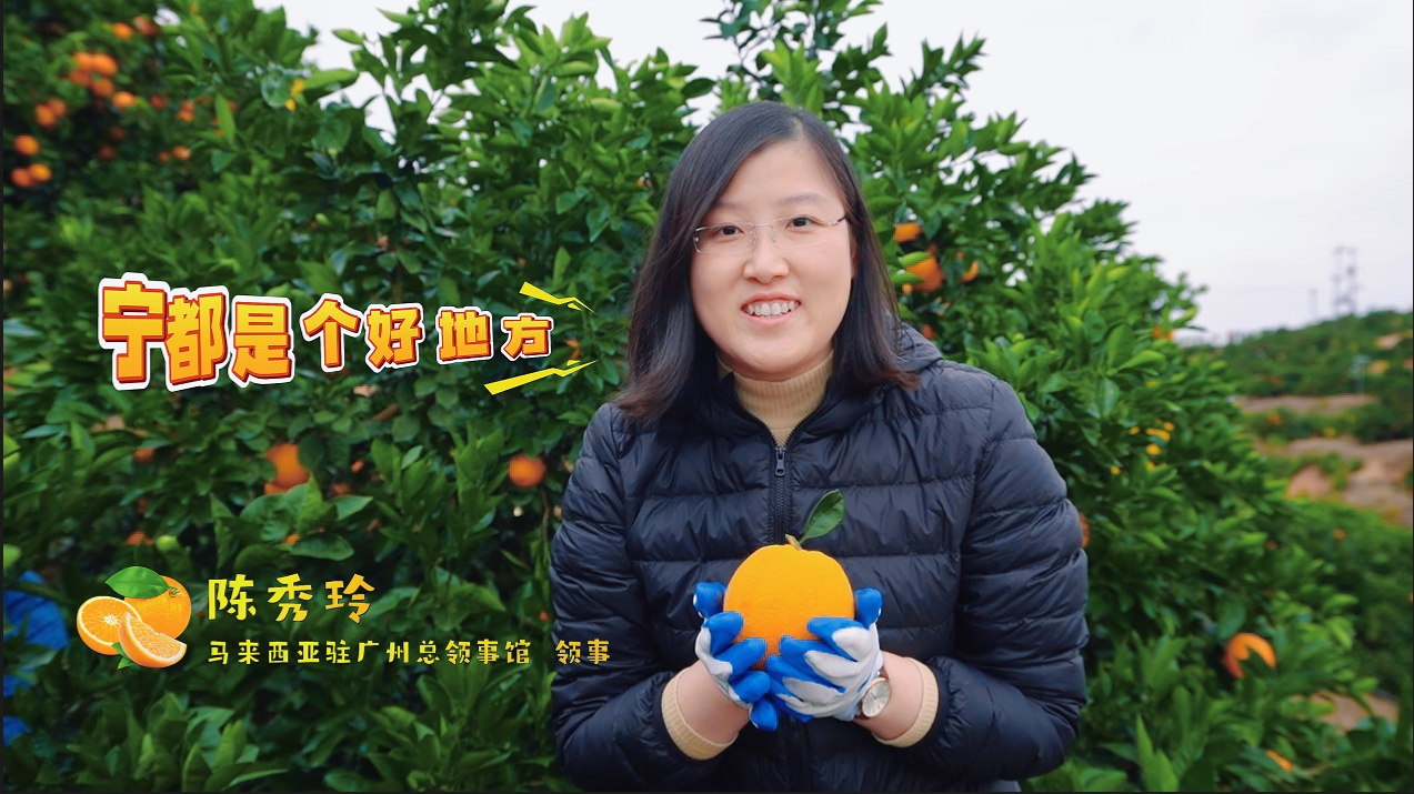 国际友人推介宁都