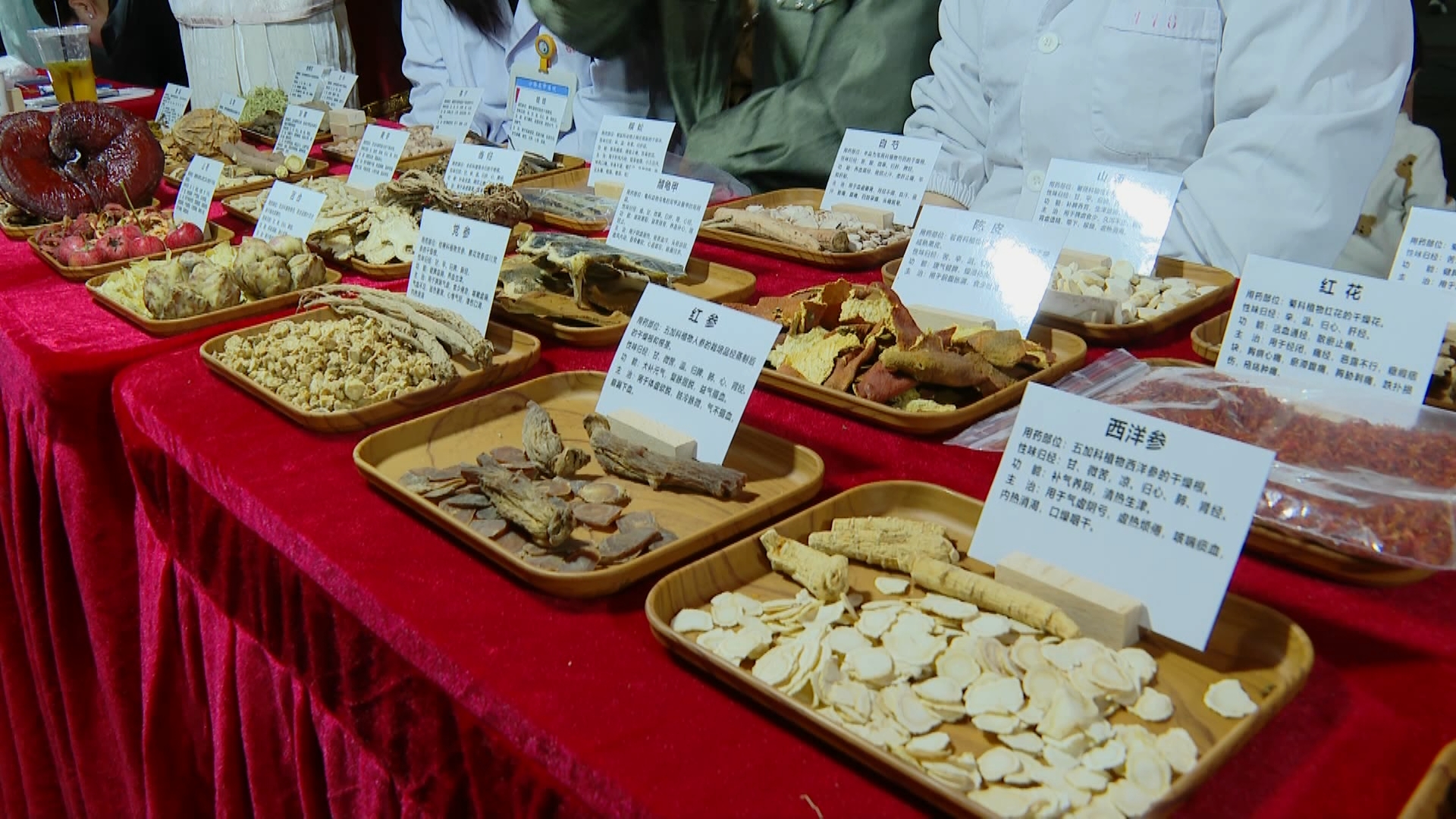中医药展品
