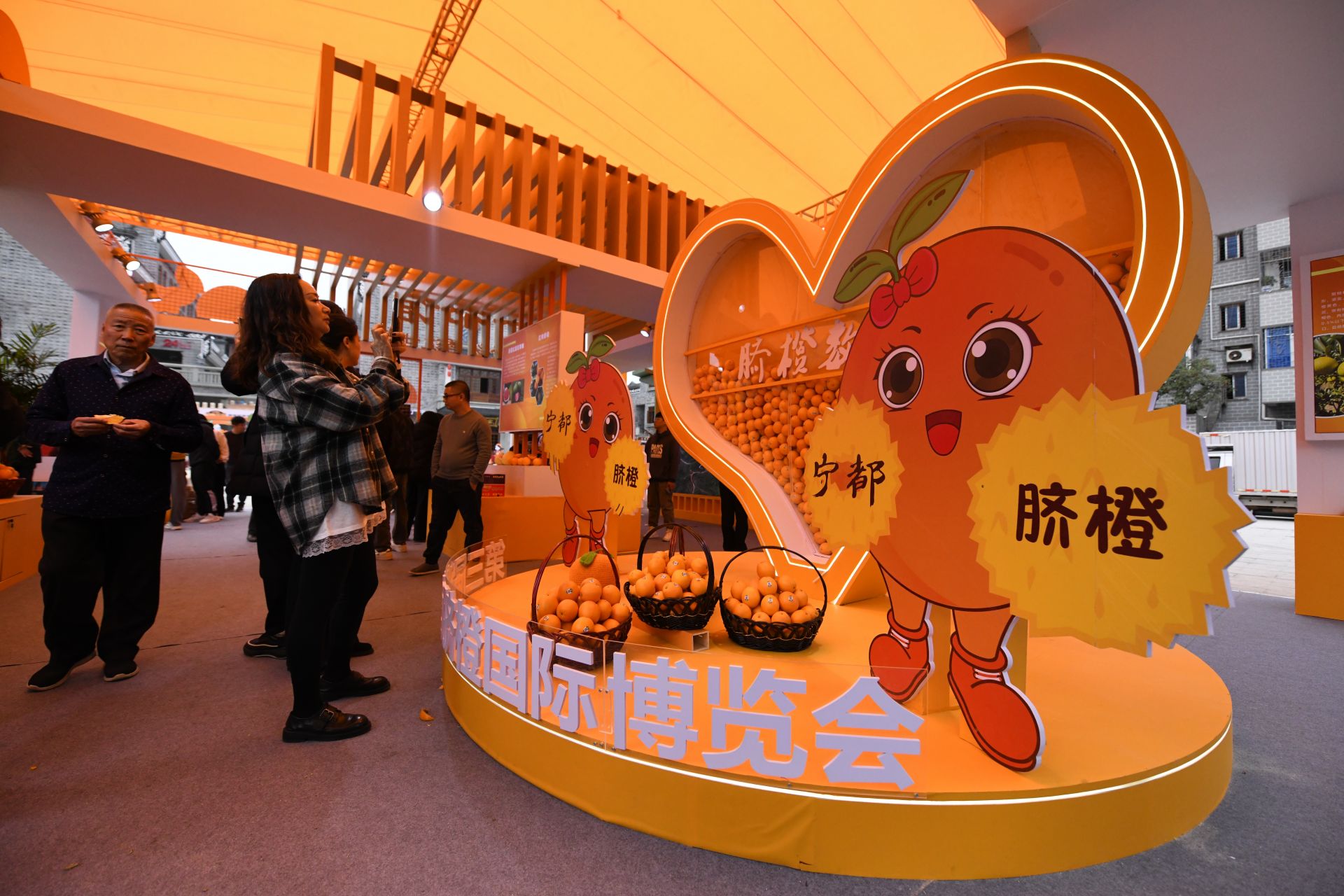 来宁都摘脐橙呀