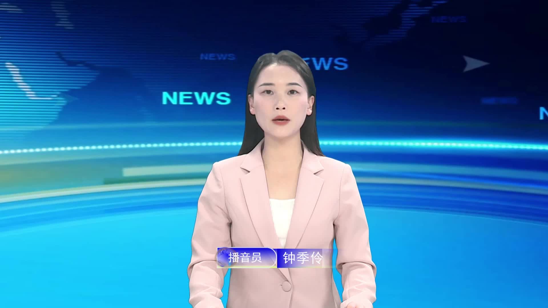 宁都新闻20241119