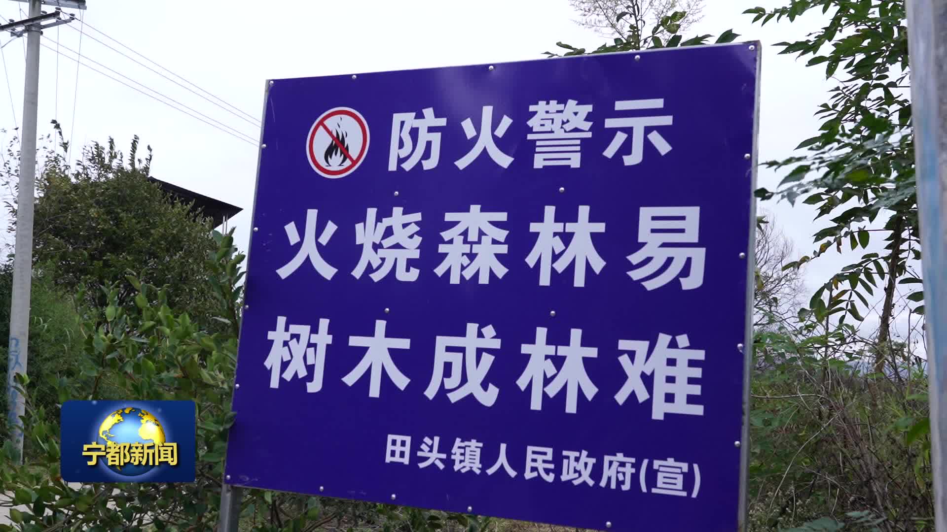 田头镇：多措并举筑牢森林防火“安全网”