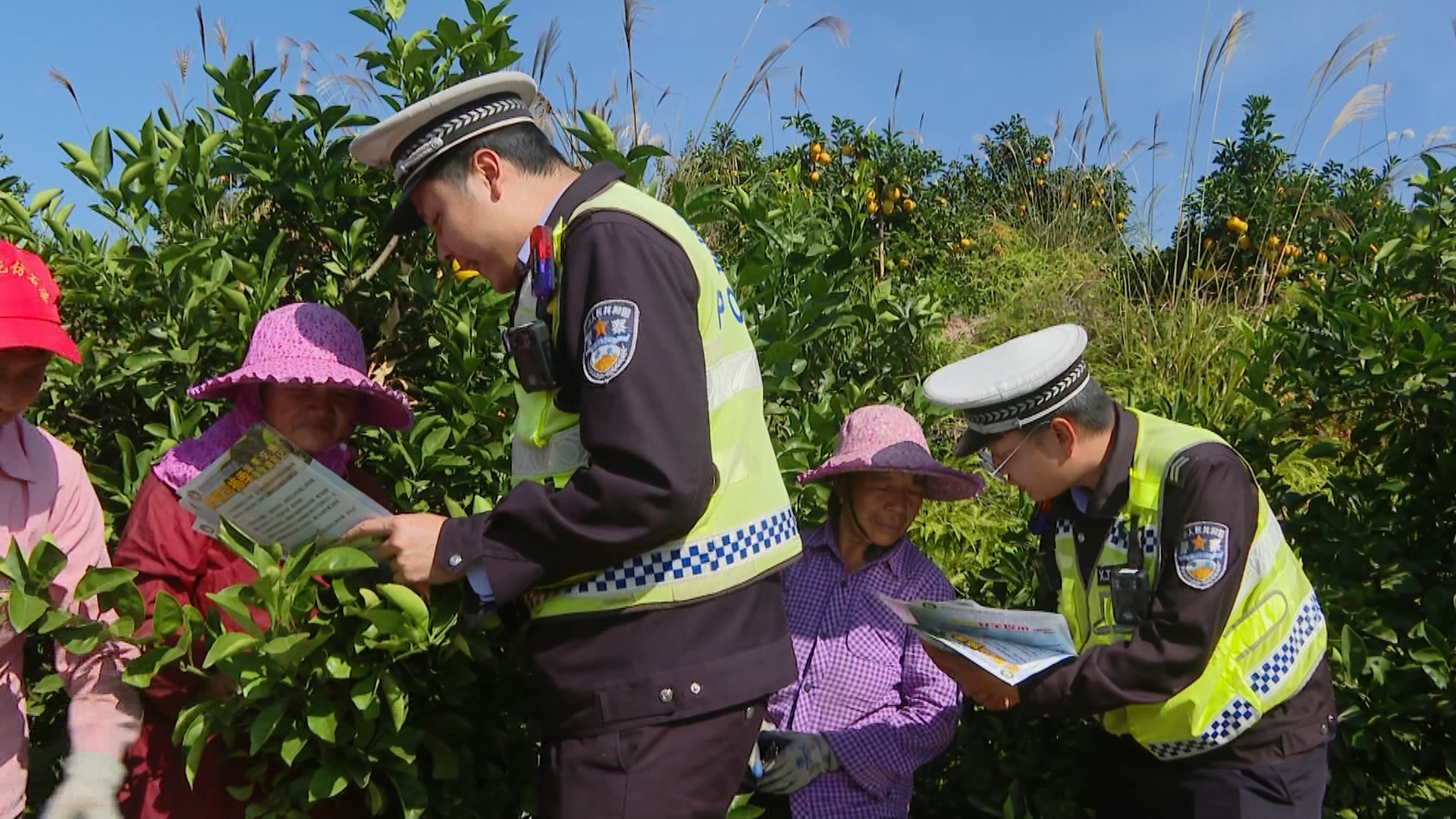 果农学习交通安全知识