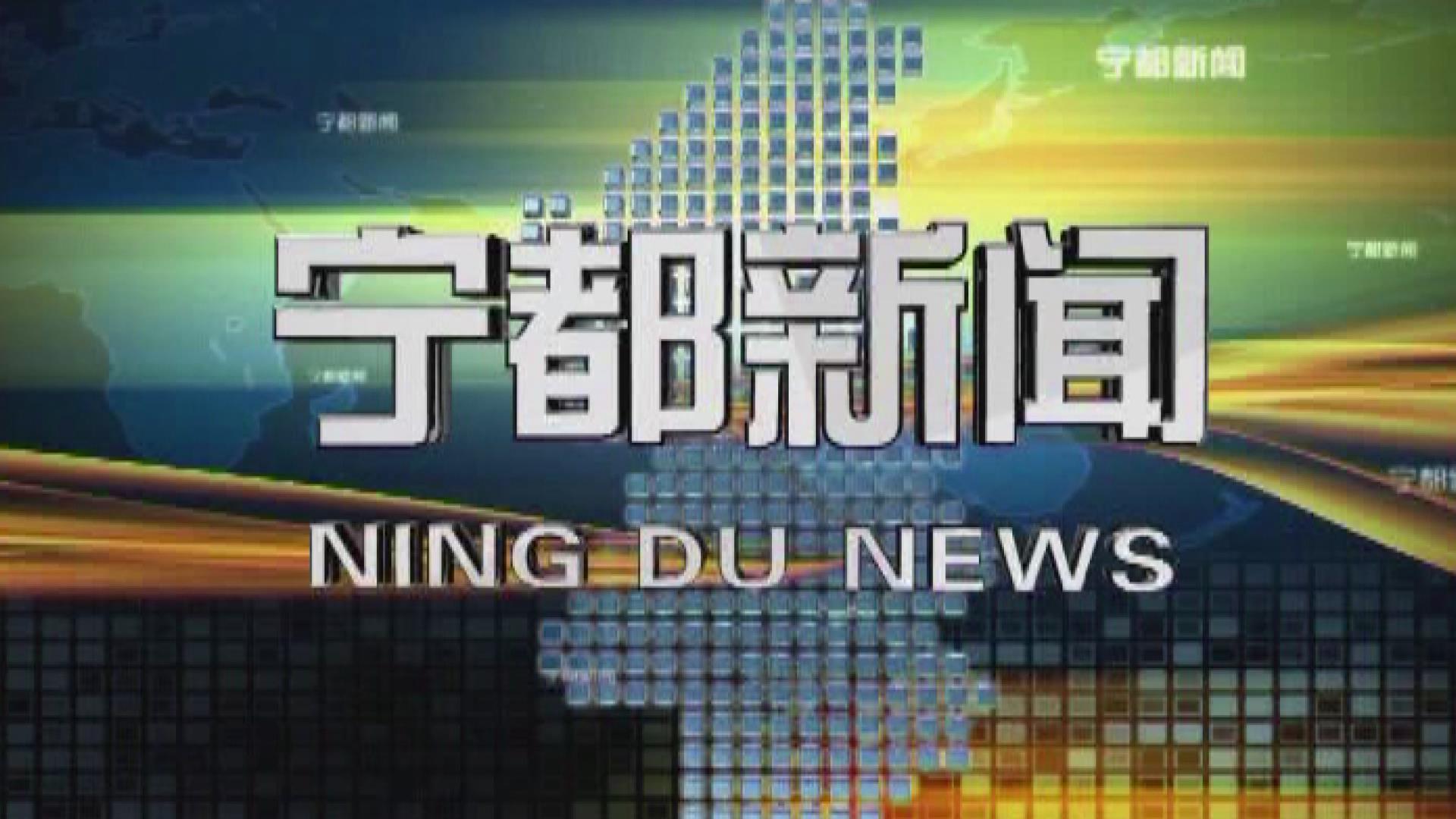 宁都新闻20241204