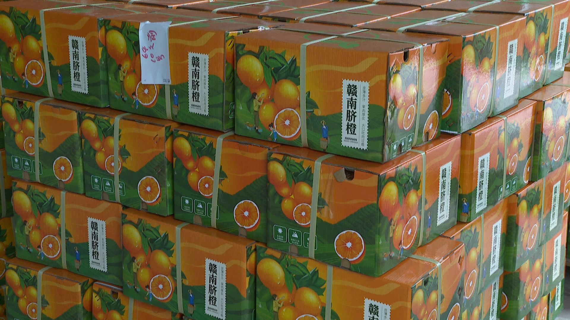 赣南脐橙