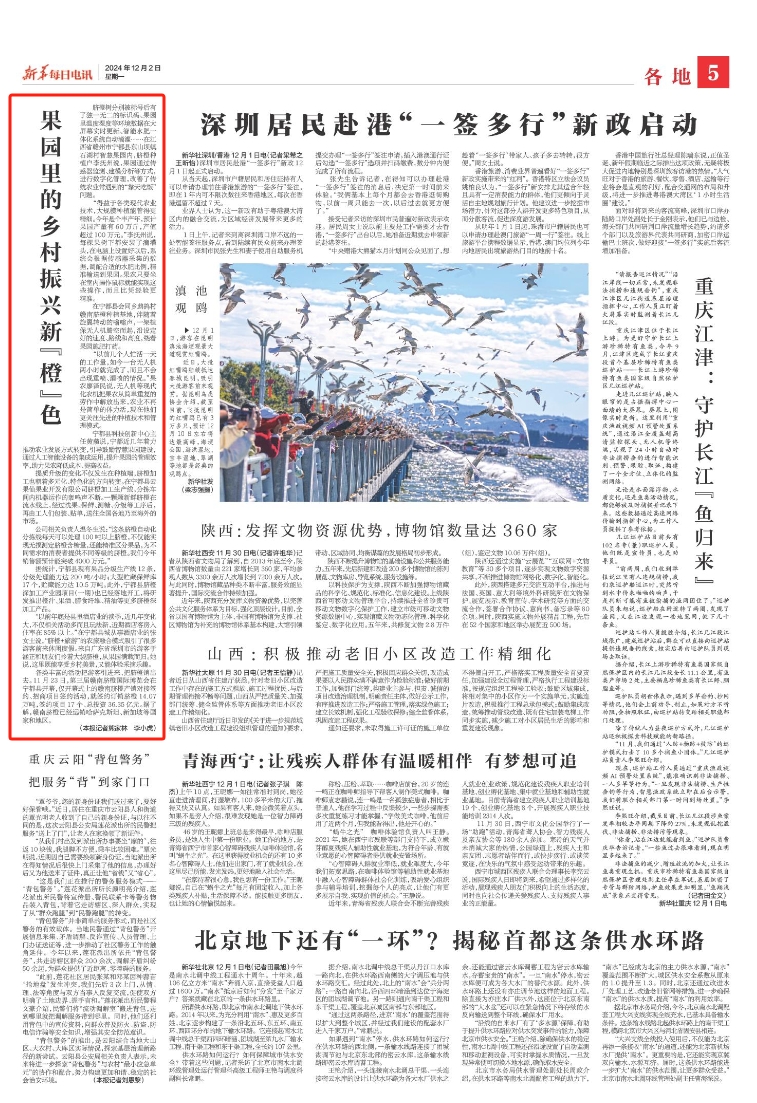 果园里的乡村振兴新“橙”色