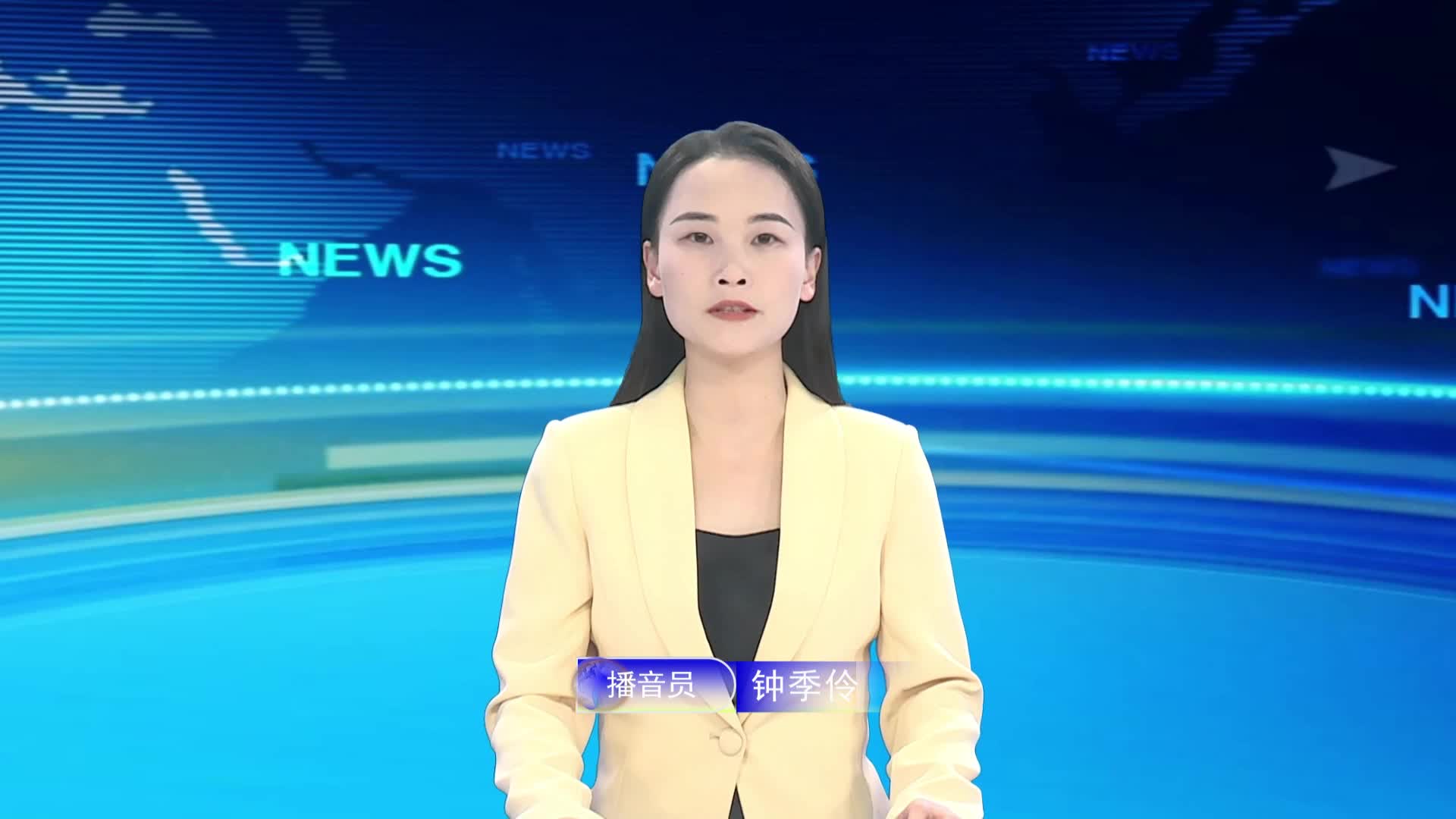 宁都新闻20241205