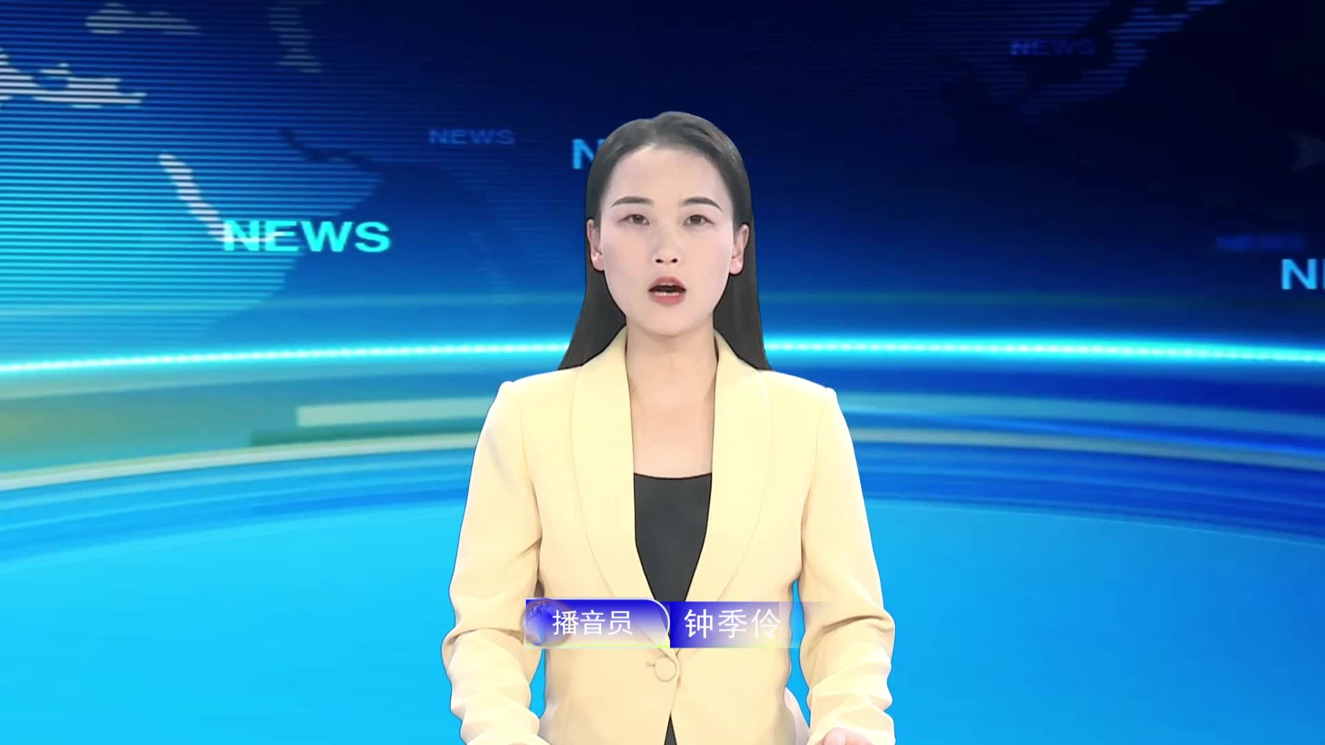 宁都新闻20241203