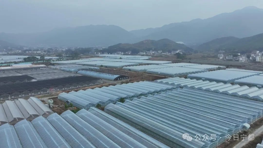 聚力“五个建设” 实现“八大突破”•建设现代农业强县 | 大力发展特色产业 助力乡村振兴