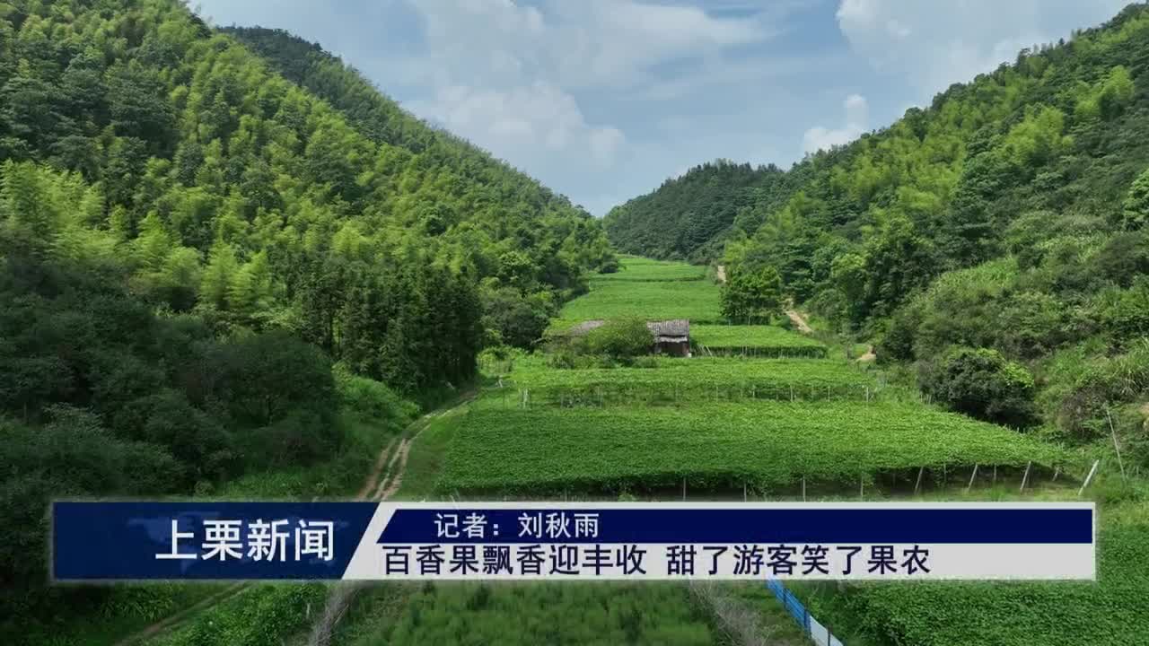 （視頻）百香果飄香迎豐收 甜了游客笑了果農