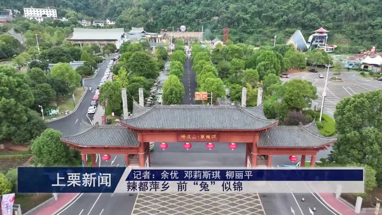 （視頻）辣都萍鄉 前“兔”似錦