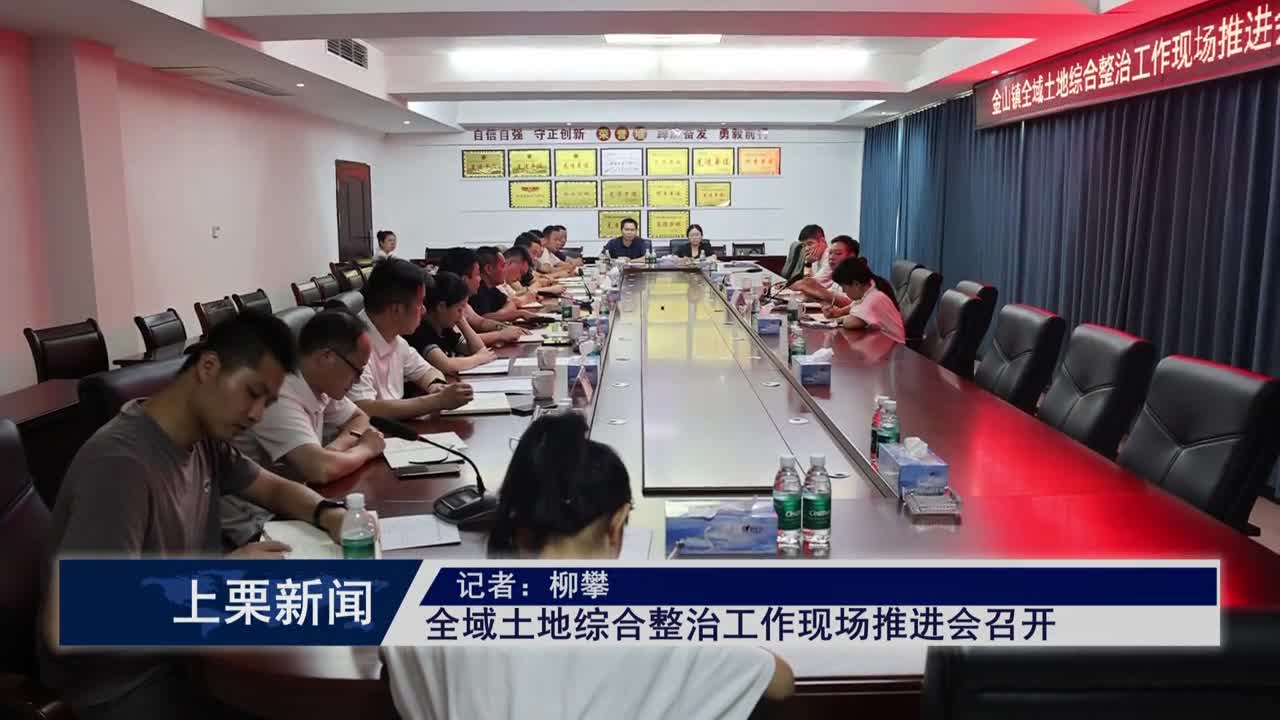 （視頻）全域土地綜合整治工作現場推進會召開