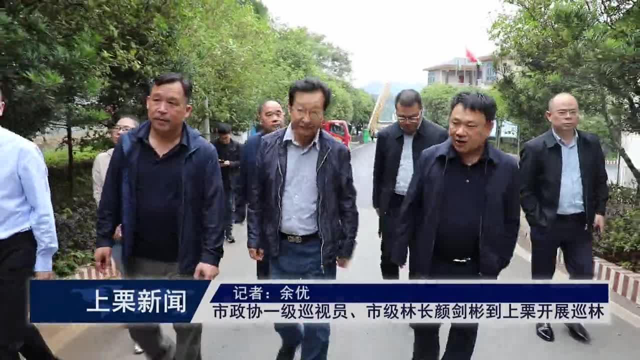 （视频）市政协一级巡视员、市级林长颜剑彬到上栗开展巡林