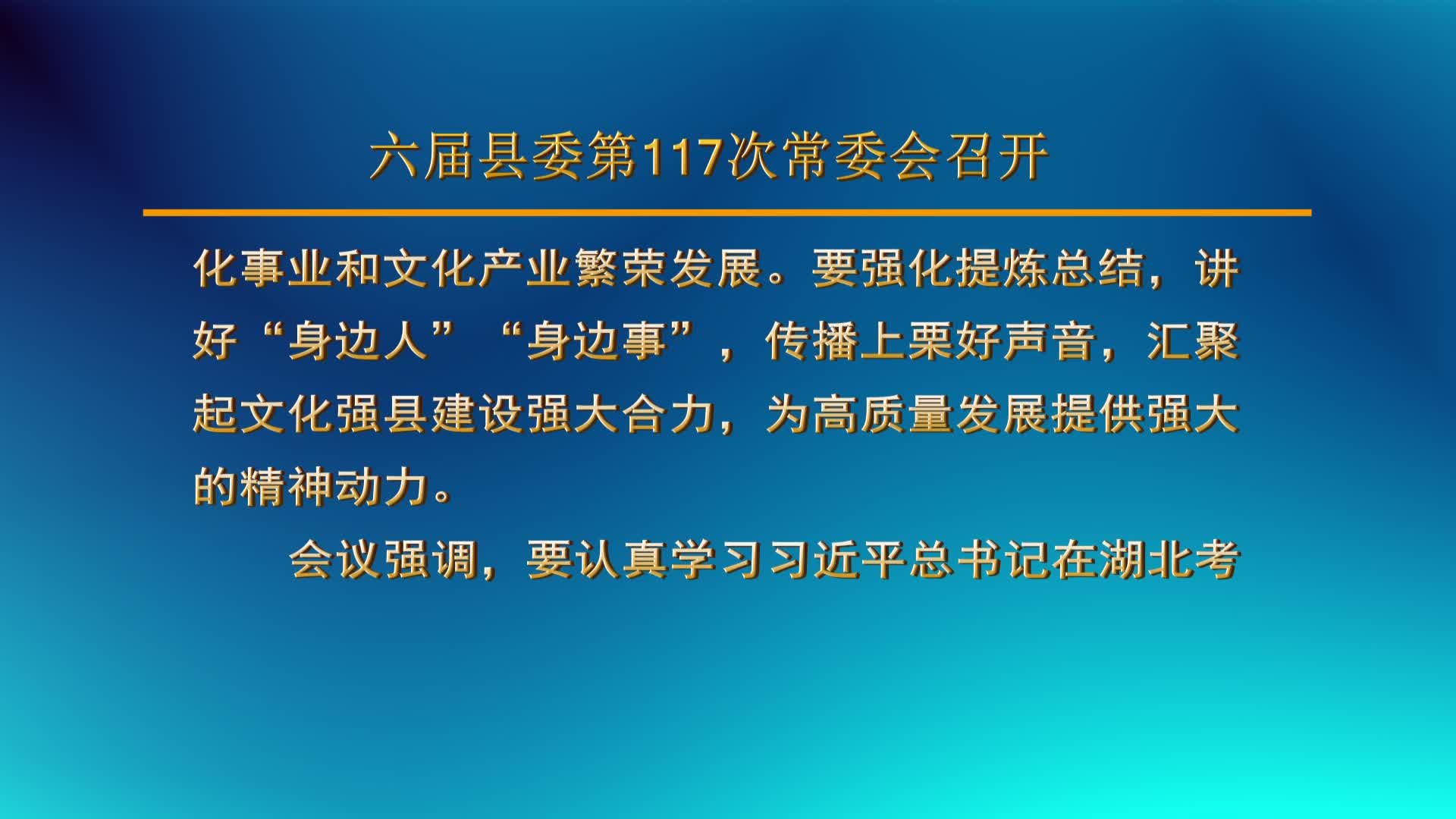 （视频）六届县委第117次常委会召开.mpg