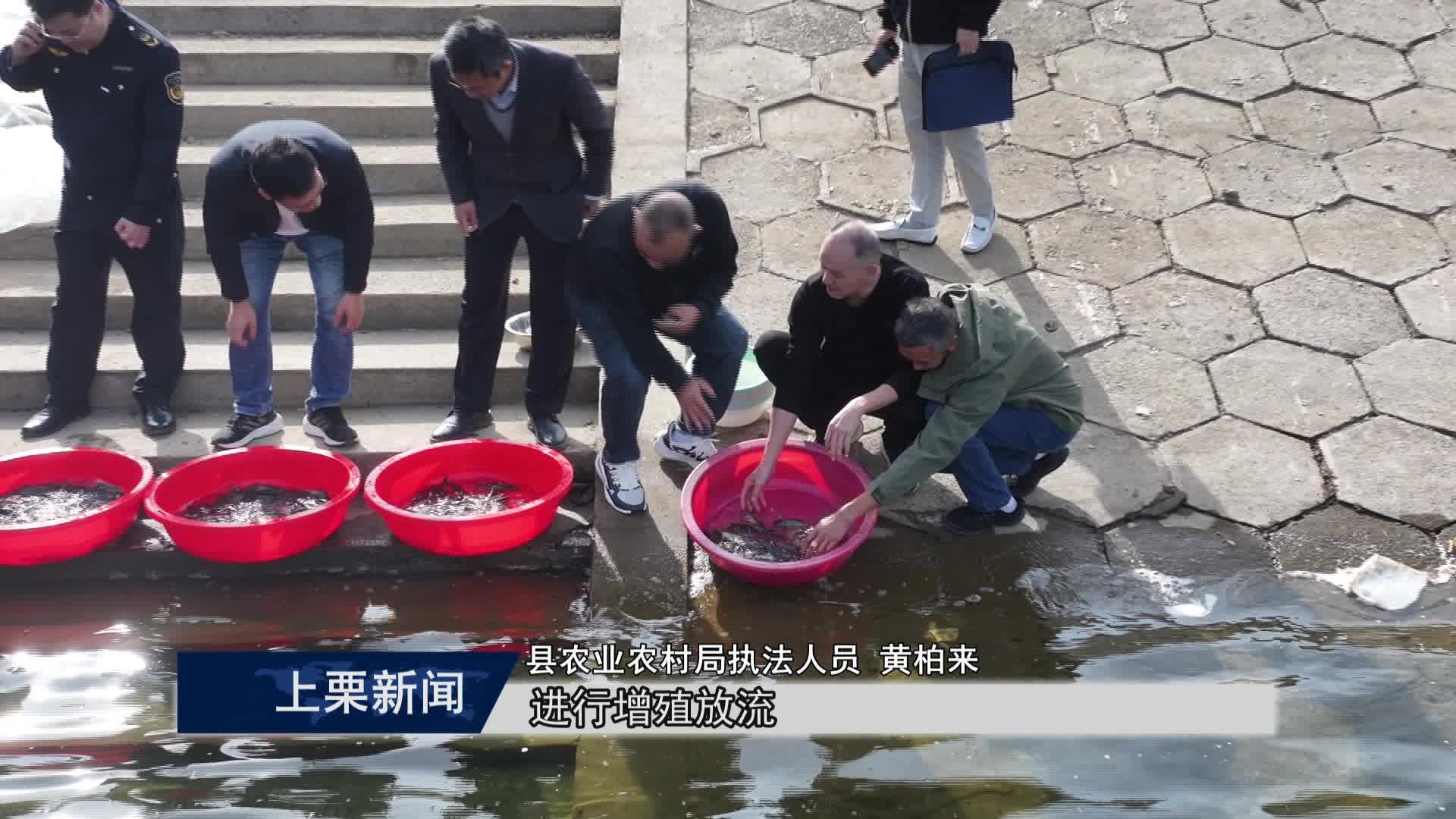 （视频）上栗县增殖放流100万尾鱼苗.mpg