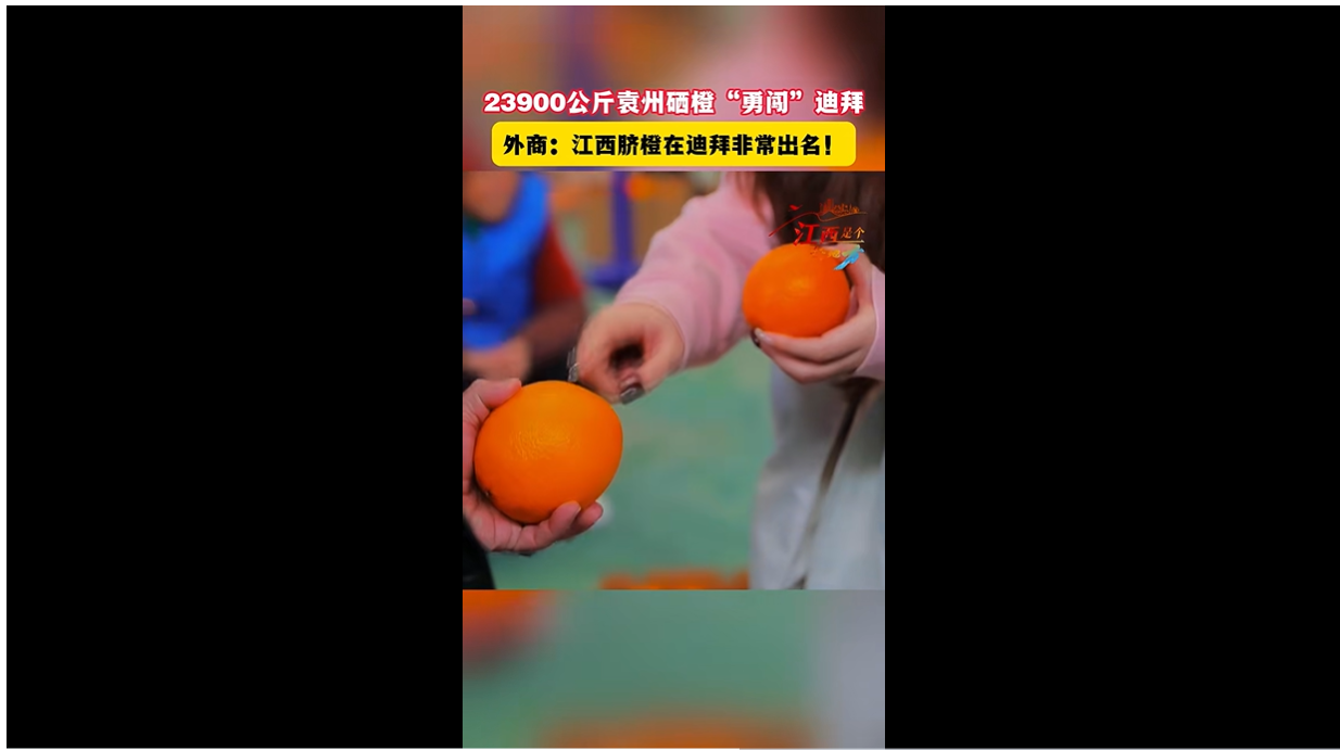 江西宜春：23900公斤硒橙出口迪拜！外商：江西脐橙在迪拜非常出名！ #优质农产品原产地 #新鲜应季
