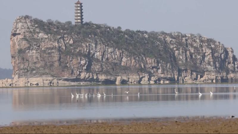江西湖口：20多种候鸟在此补给 生态湖泊成重要中转站