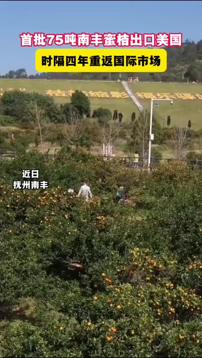 桔香飘海外！首批75吨南丰蜜桔出口美国，时隔四年重返国际市场。#江西是个好地方